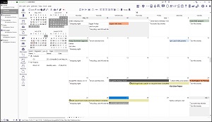 doogie®PIM Calendar Screenshot